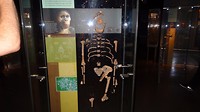 DSC01003