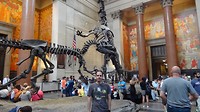 DSC01060