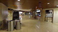 DSC01355