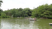 DSC01516