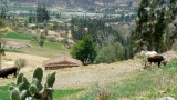 DSCN0273