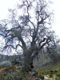 DSCN0310