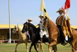 caballos de paso