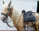 DSCN0355