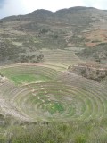 Moray, interesting agriculture from ancient Inca times...