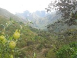 DSCN0884
