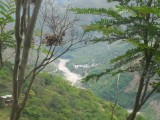 DSCN0901