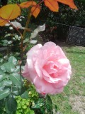 DSCN0943