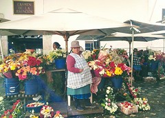 IMG_20161202_153857