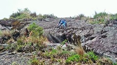 IMG-20161203-WA0001