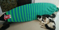 IMG_20170122_114611