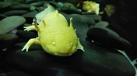 IMG_20170214_151217