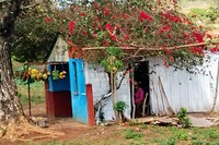 IMG_20170223_123739