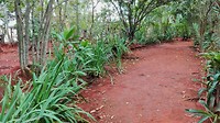 IMG_20170223_152936