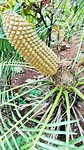 IMG_20170223_162256