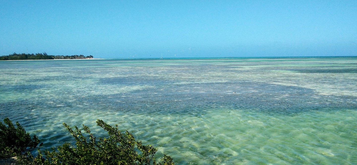 Cayo Coco - blauw, blauwer, blauwst