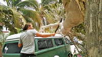IMG_20170505_125240