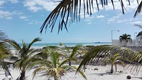 Progreso kitespot