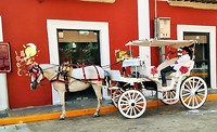 downtown Merida