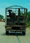 on the road..