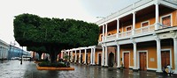 Granada