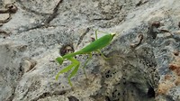 IMG_20170727_153520