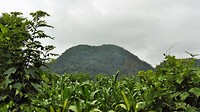 IMG_20170727_161309
