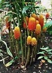 IMG_20170727_162834