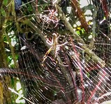 IMG_20170730_122548