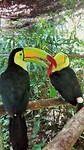 IMG_20170804_151522