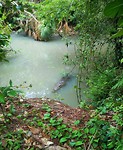 IMG_20170804_154207