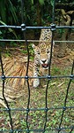 IMG_20170804_154603