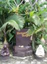 brown sugar surfcamp. medewi-550