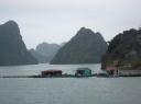 IMG_0852-550