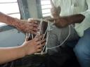 tabla on the train-550