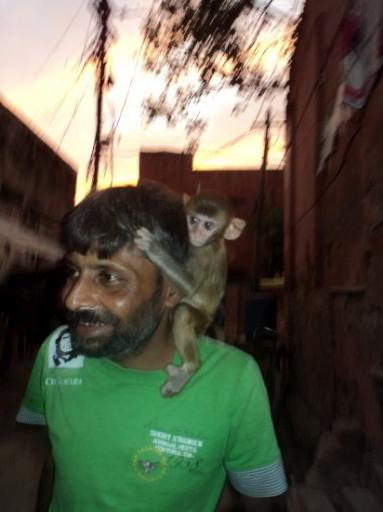 monkey man-550