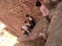 fatehpur sikri 8-550