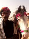 DSC02483-550