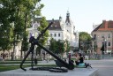 IMG_4865