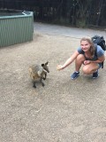 WildlifePark
