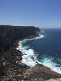 North Head Walk