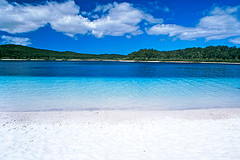 Fraser Island Lake Mckenzie