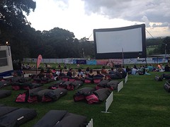 Australia day moonlight cinema