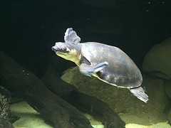 @Sealife