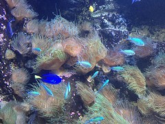 @SeaLife
