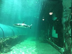 @SeaLife