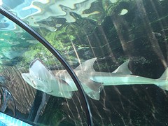 @SeaLife