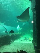 @SeaLife