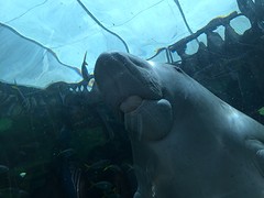 @SeaLife