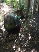 @Wildlifeparc